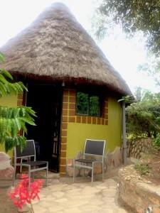 The thatched Coffee Cottage with its yellow walls and outdoor seats among the coffee plants.