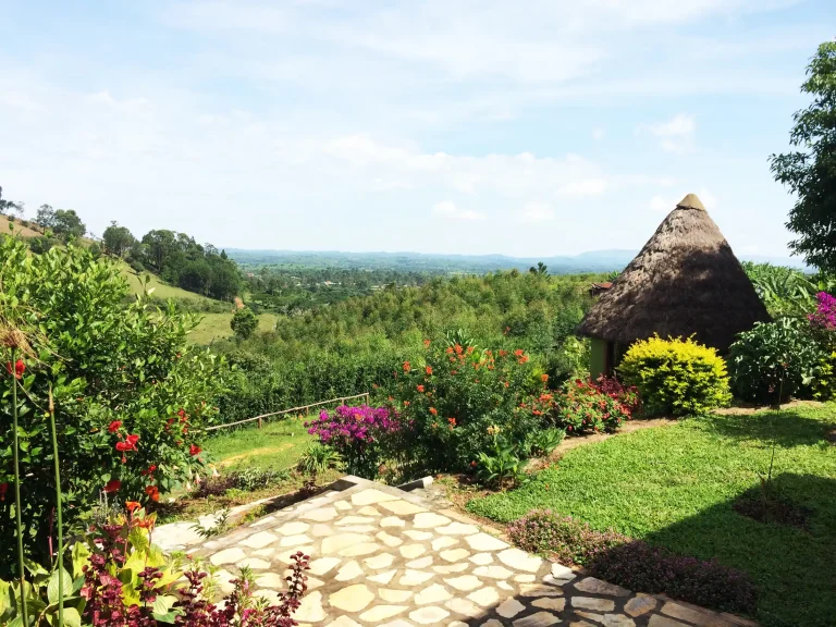 A thatched cottage among Nyore’s gardens, overlooking the hills of south-western Uganda.
