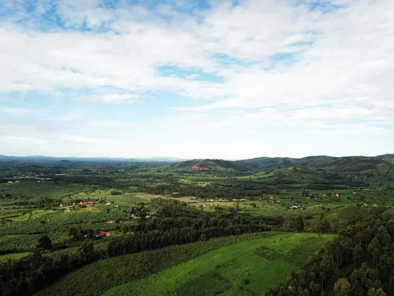 The green hills and farmland surrounding Nyore Hillside Retreat in south-western Uganda.